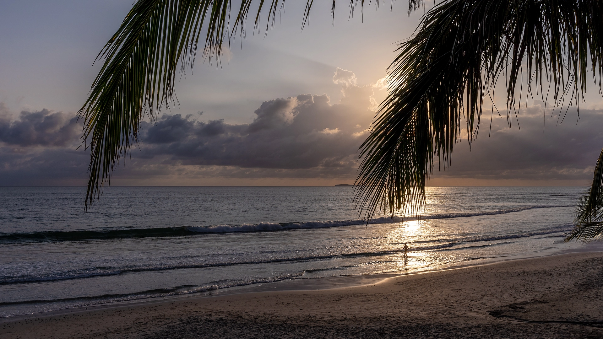 Punta de Mita